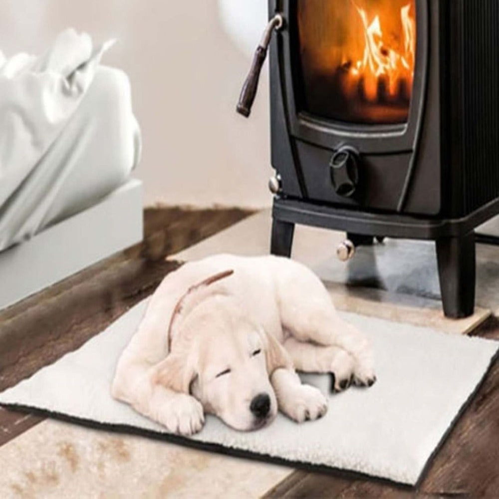 Self-Warming Pet Blanket