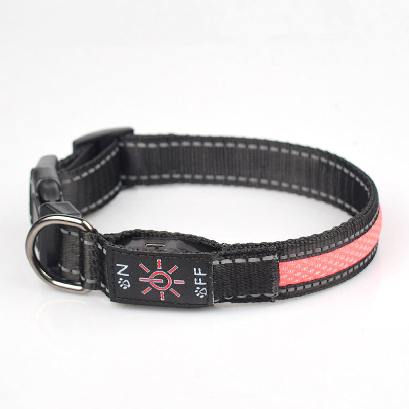 Rechargeable LED Dog Collar