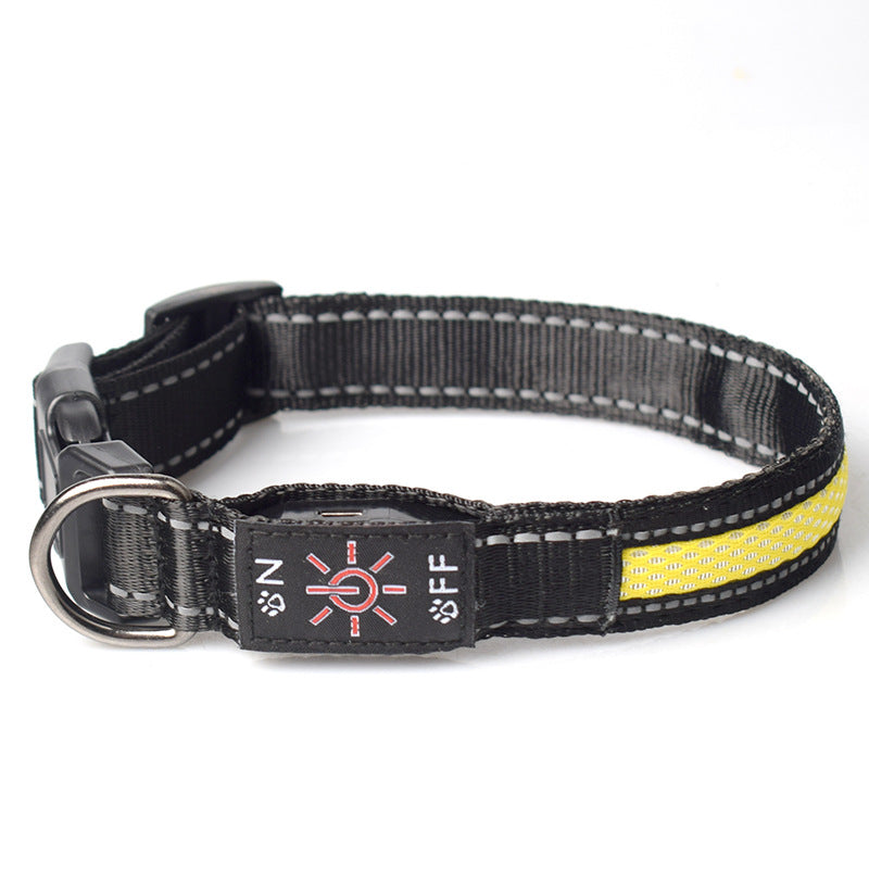 Rechargeable LED Dog Collar