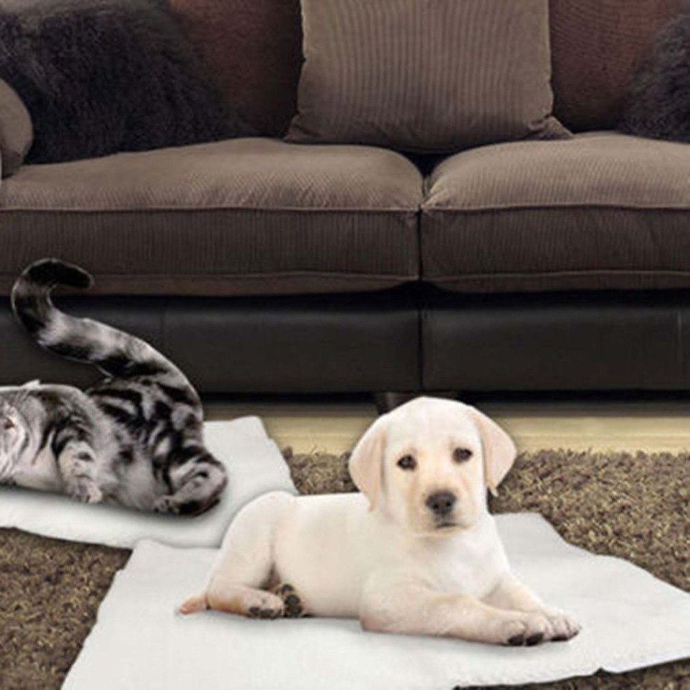 Self-Warming Pet Blanket
