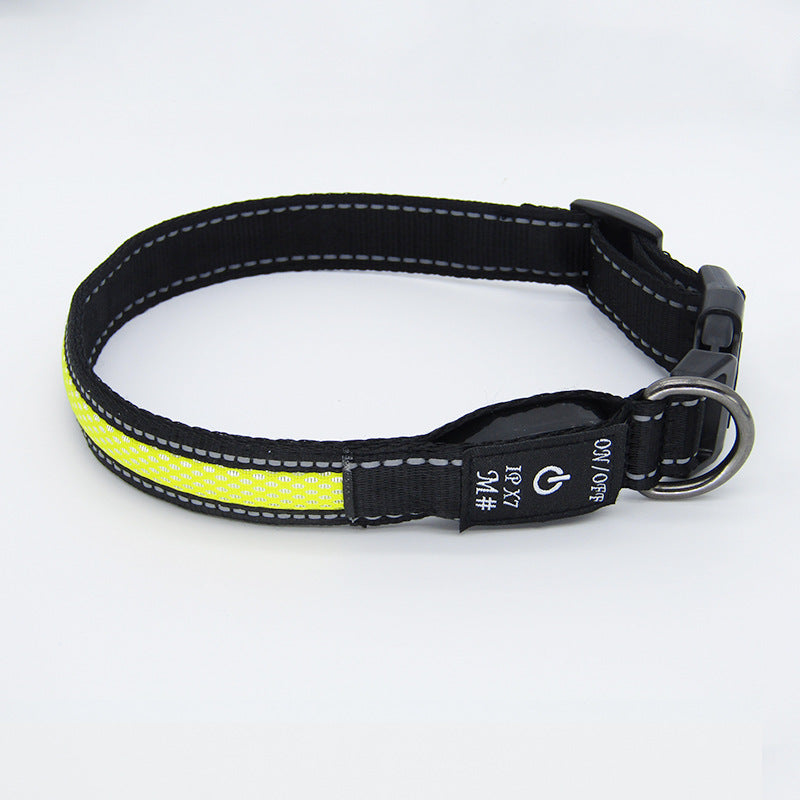Rechargeable LED Dog Collar