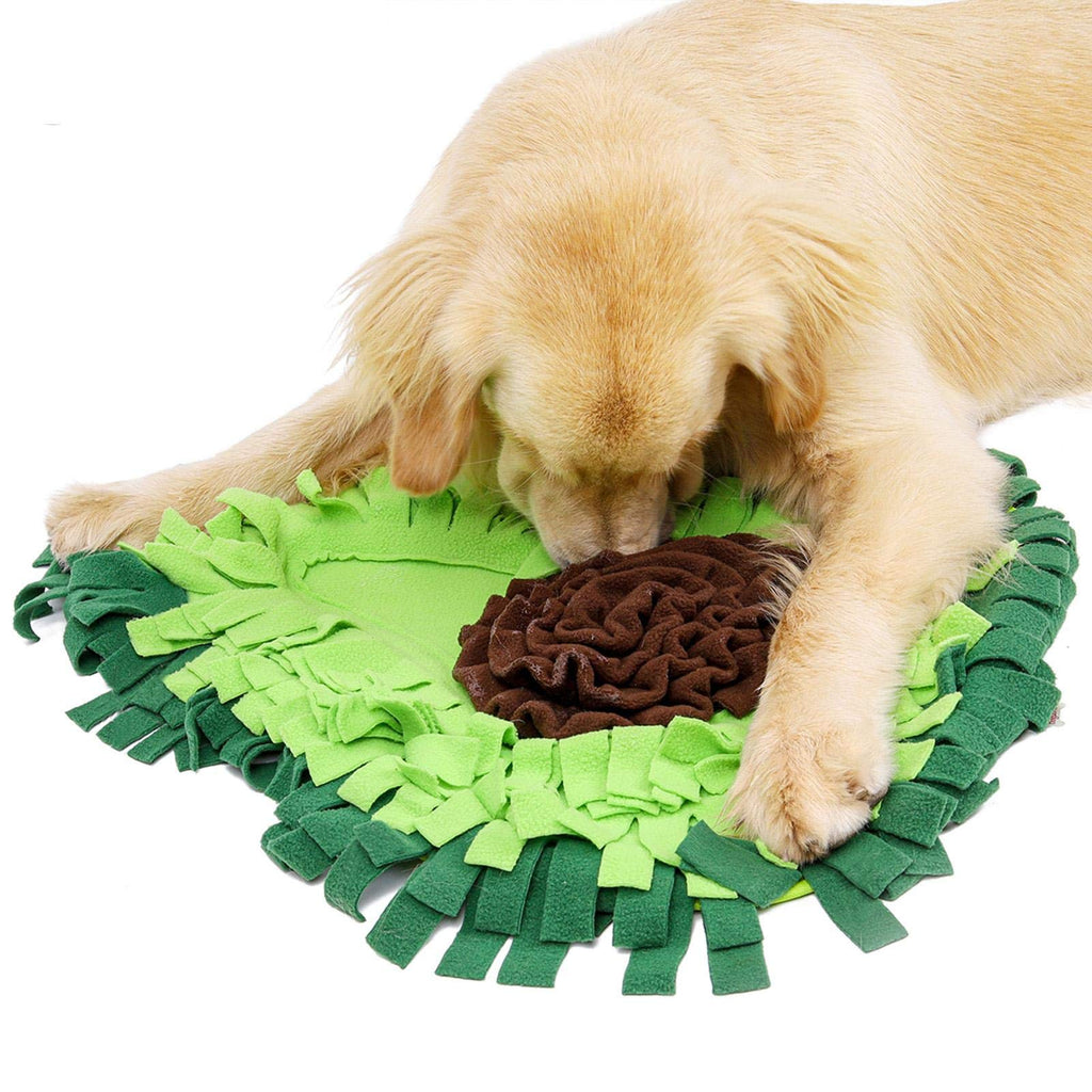 Snuffle Mat for Dogs