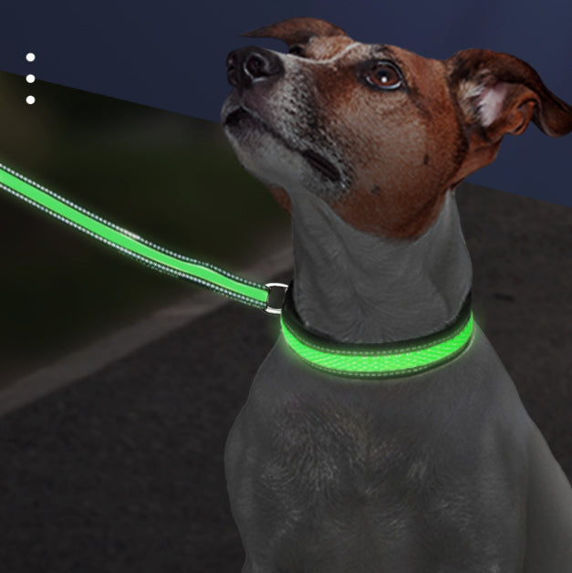 Rechargeable LED Dog Collar