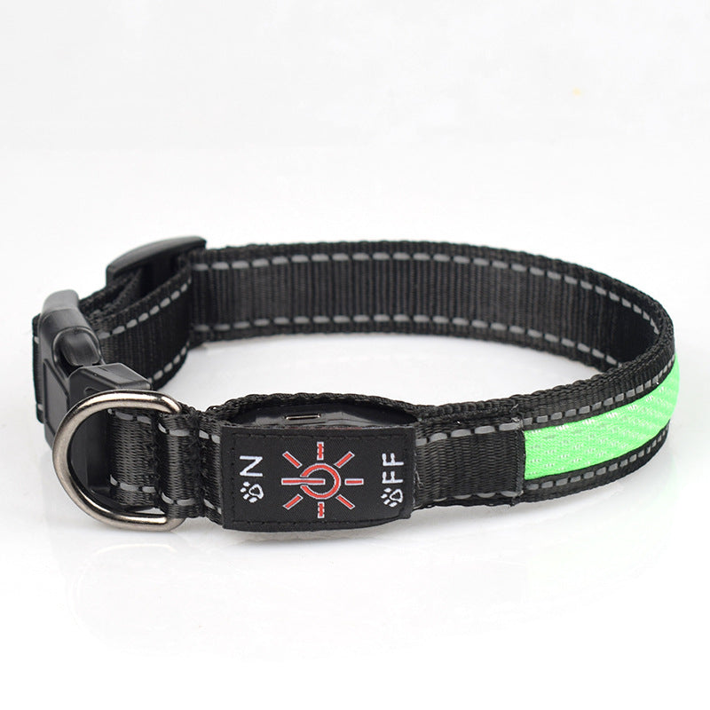 Rechargeable LED Dog Collar